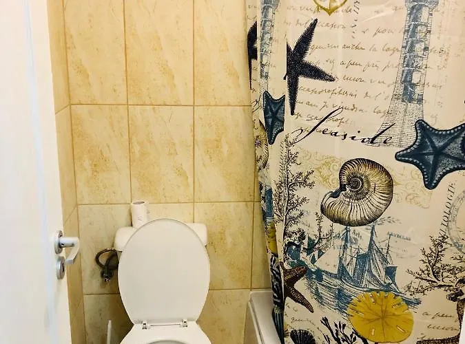 Apartment Joy City Sanatatii Timişoara