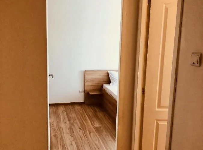 Joy City Sanatatii *