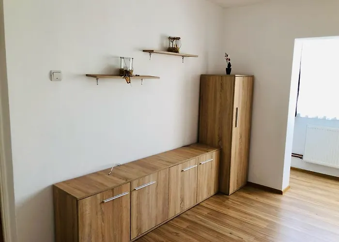 Apartment Joy City Sanatatii Timişoara