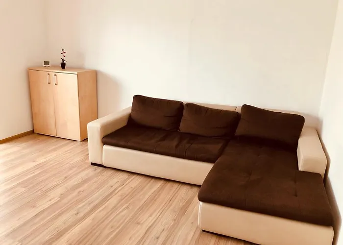 Joy City Sanatatii Timişoara