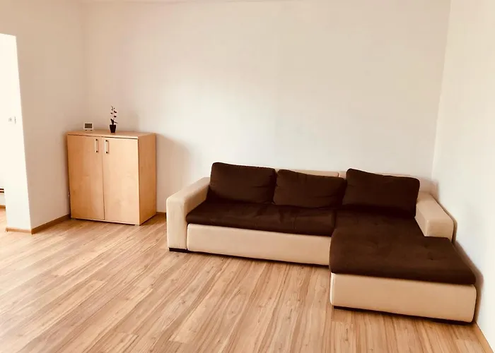 Apartment Joy City Sanatatii