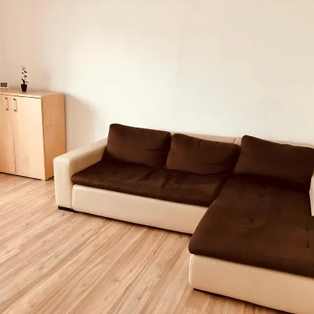 Joy City Sanatatii Timişoara